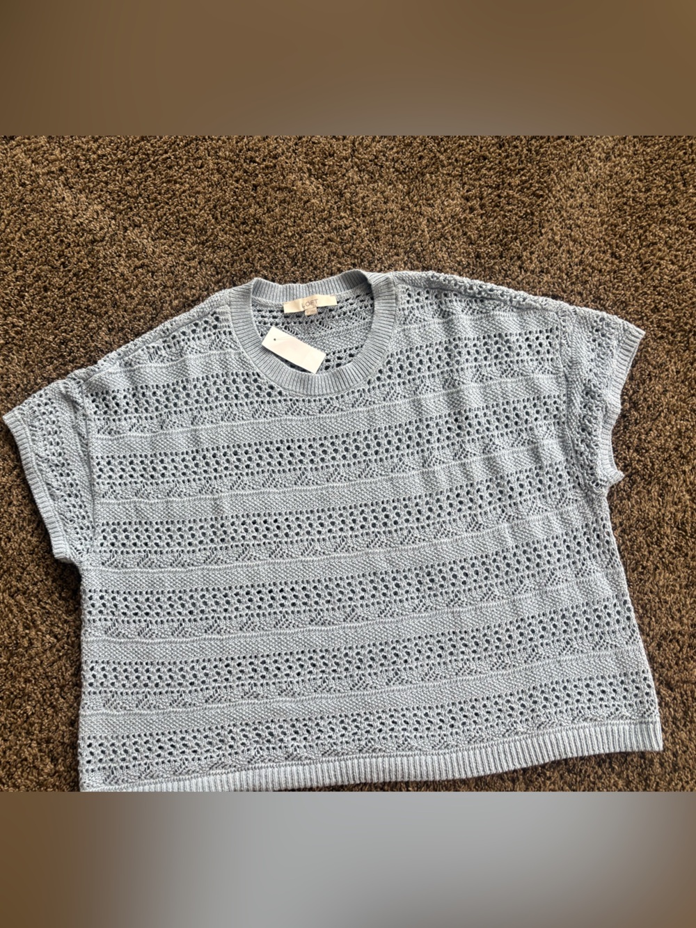 LOFT Sky Blue Open-Knit Short Sleeve Sweater